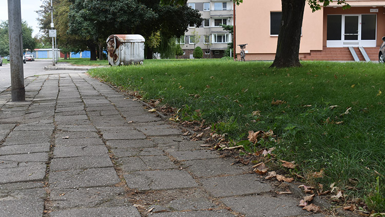 „Prodloužilo se výběrové řízení, začneme v srpnu,“ ujistil náměstek Rozehnal