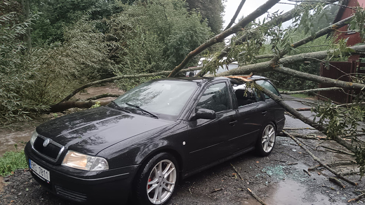 Ve Zdětíně spadl na auto strom!