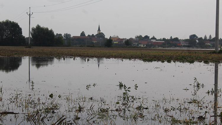 Němčice řeší zhoršenou kvalitu vody, HROZÍ INFEKCE!