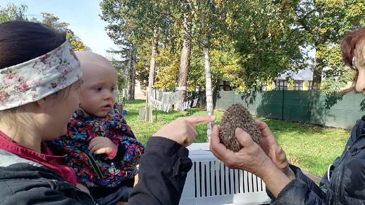 Den stromů přivedl do Kolářových sadů i výra a ježky