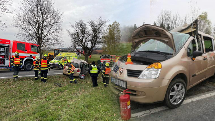 U Bukové trefil nakladač Renault