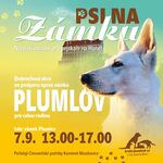 psi na zamku plumlov